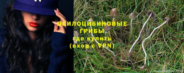 винт Алексеевка
