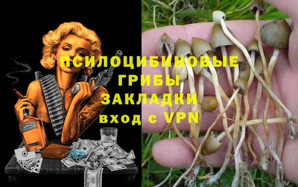 первитин Алексин