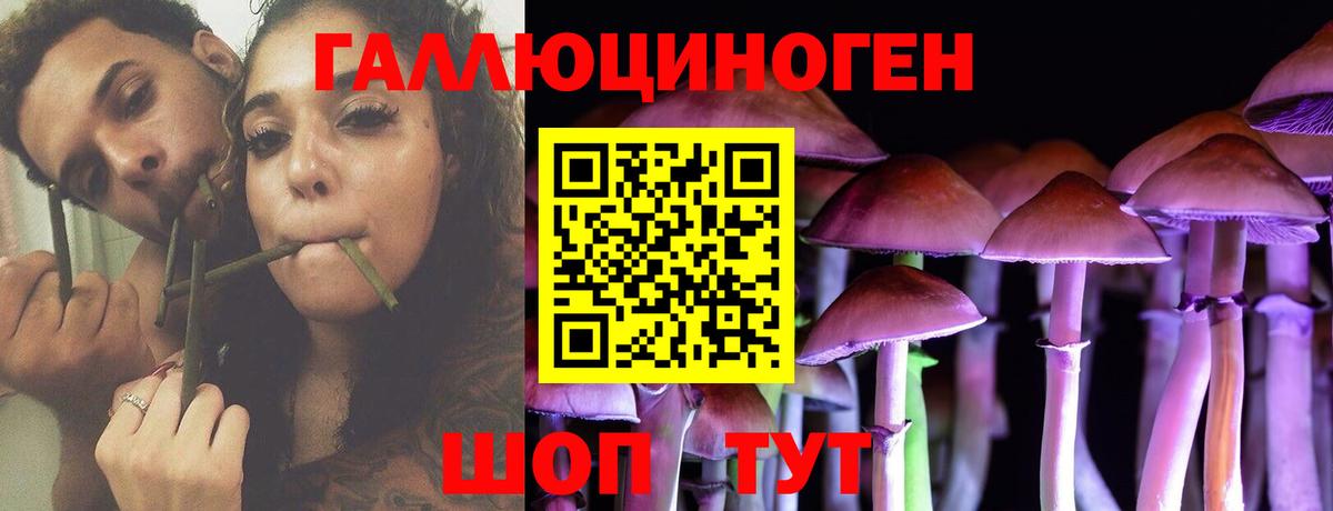 купить   Псилоцибиновые грибы Magic Shrooms  Вход с VPN  Старая Русса 