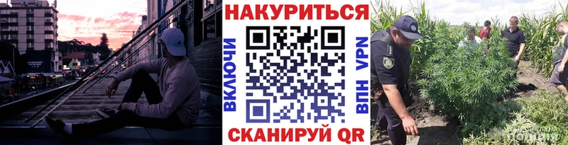 Бошки Шишки MAZAR  Старая Русса 